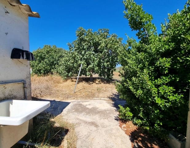 Terre non Aménagée à vendre à Ginestar - 25 000 € (Ref: 10037795)
