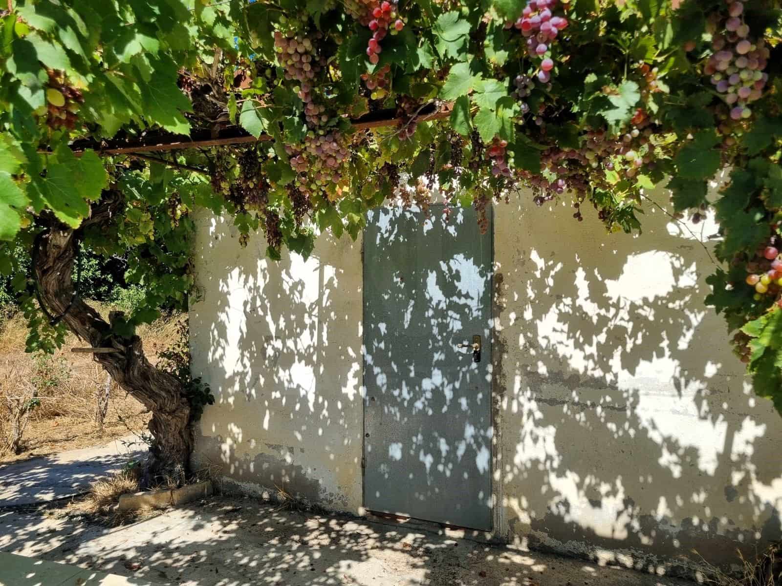 Terreno Non Edificato in vendita in Ginestar - 25.000 € (Rif: 10037795)