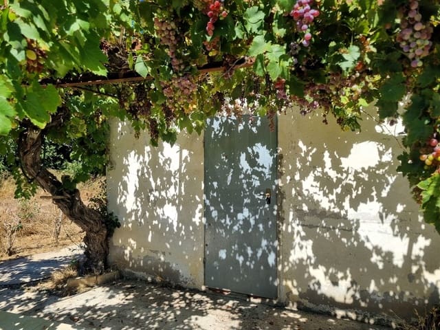 Terre non Aménagée à vendre à Ginestar - 25 000 € (Ref: 10037795)