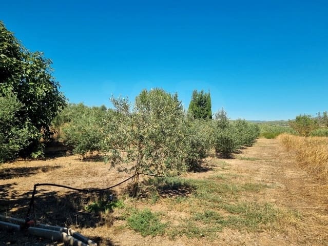 Terre non Aménagée à vendre à Ginestar - 25 000 € (Ref: 10037795)