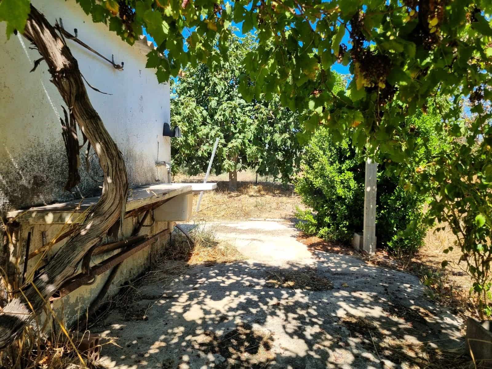 Terreno Non Edificato in vendita in Ginestar - 25.000 € (Rif: 10037795)