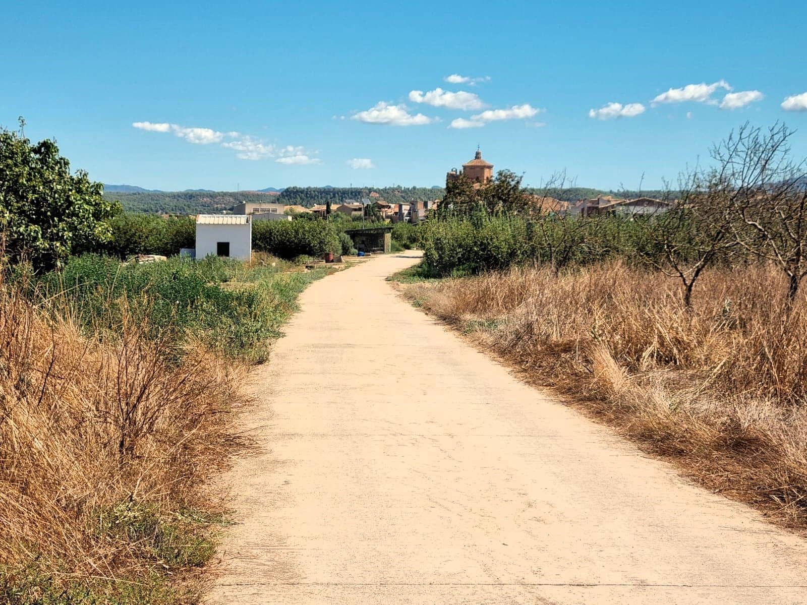 Terreno Non Edificato in vendita in Ginestar - 25.000 € (Rif: 10037795)