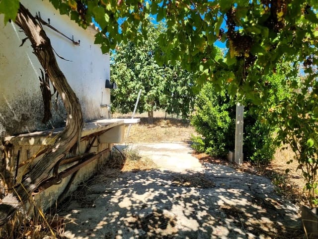Terre non Aménagée à vendre à Ginestar - 25 000 € (Ref: 10037795)
