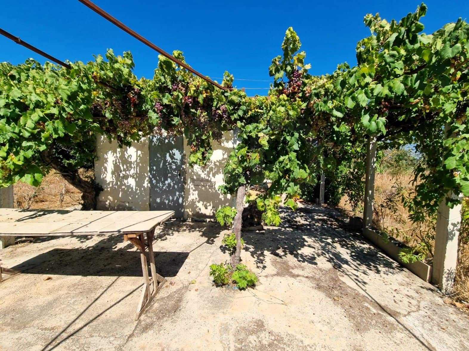 Terreno Non Edificato in vendita in Ginestar - 25.000 € (Rif: 10037795)