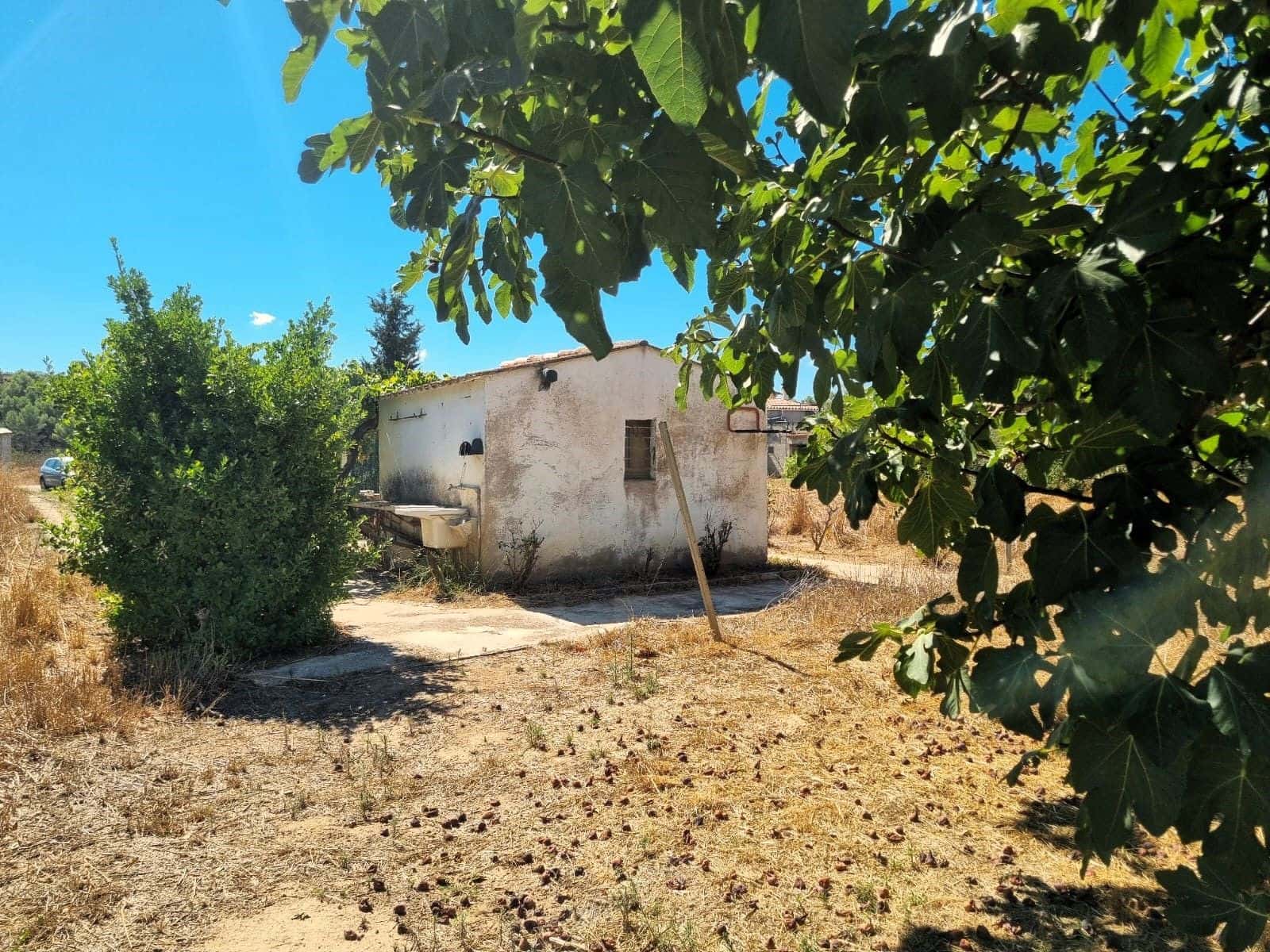 Terreno Non Edificato in vendita in Ginestar - 25.000 € (Rif: 10037795)