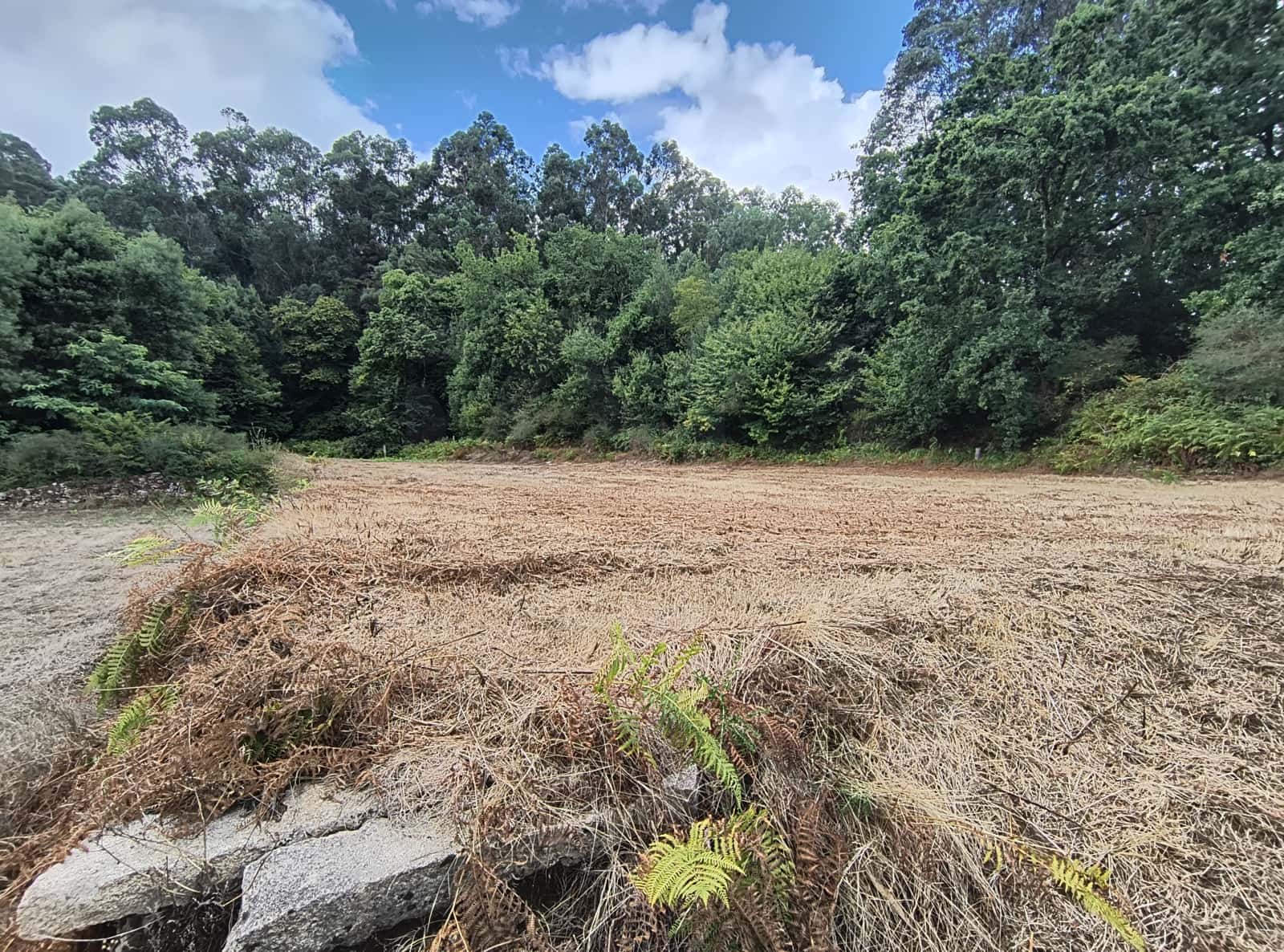 Grunde uden byggetilladelser til salg i Mondariz - € 30.000 (Ref: 10037796)