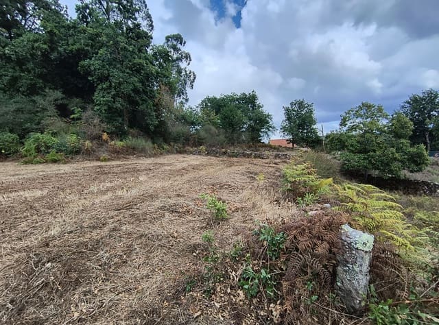 Terre non Aménagée à vendre à Mondariz - 30 000 € (Ref: 10037796)