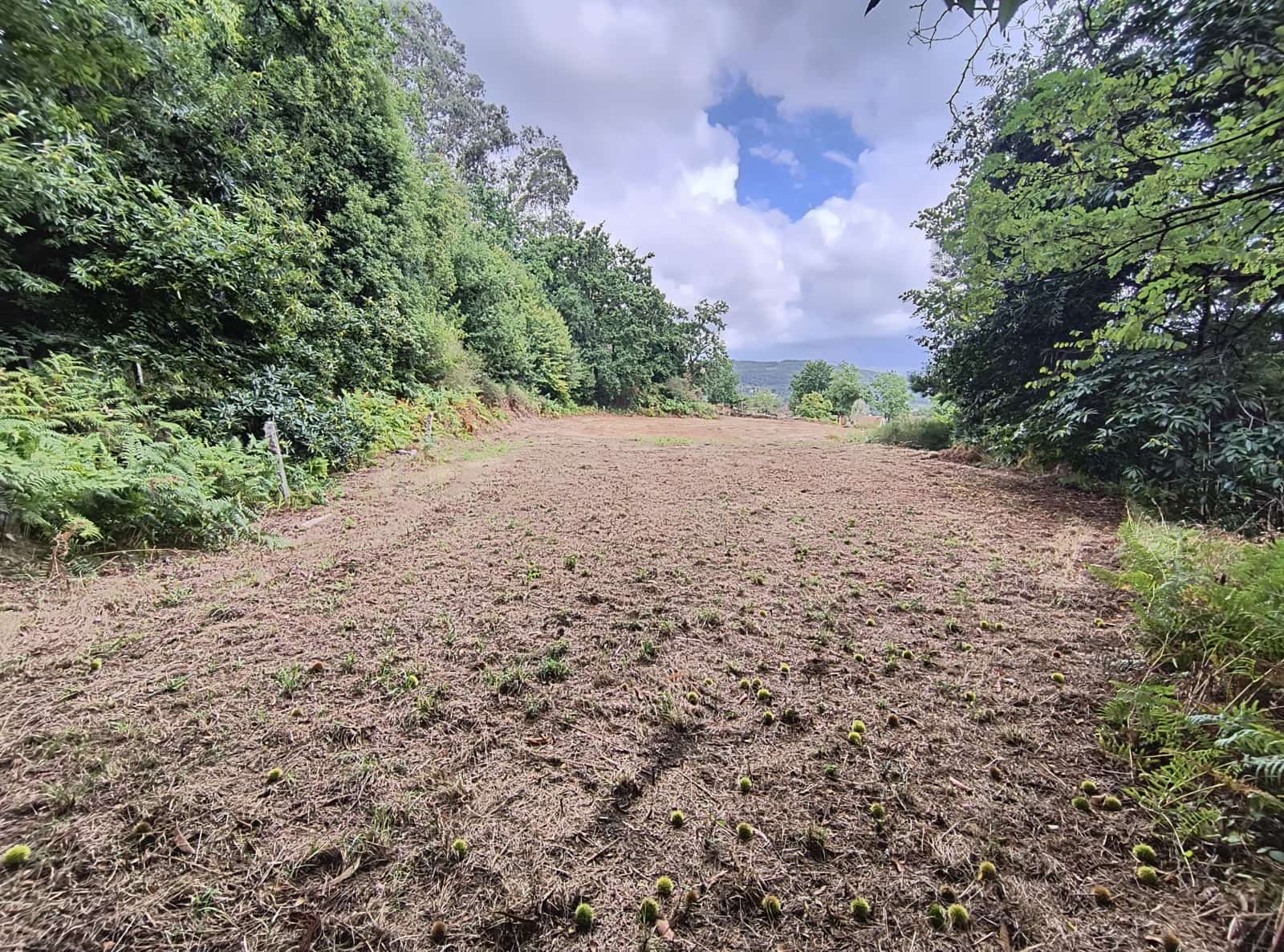 Grunde uden byggetilladelser til salg i Mondariz - € 30.000 (Ref: 10037796)