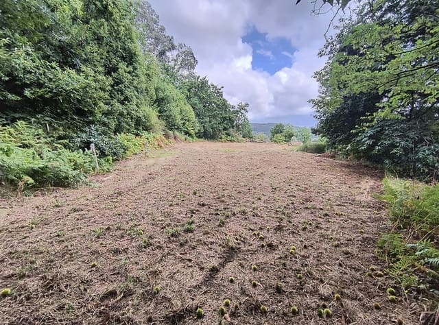 Terre non Aménagée à vendre à Mondariz - 30 000 € (Ref: 10037796)