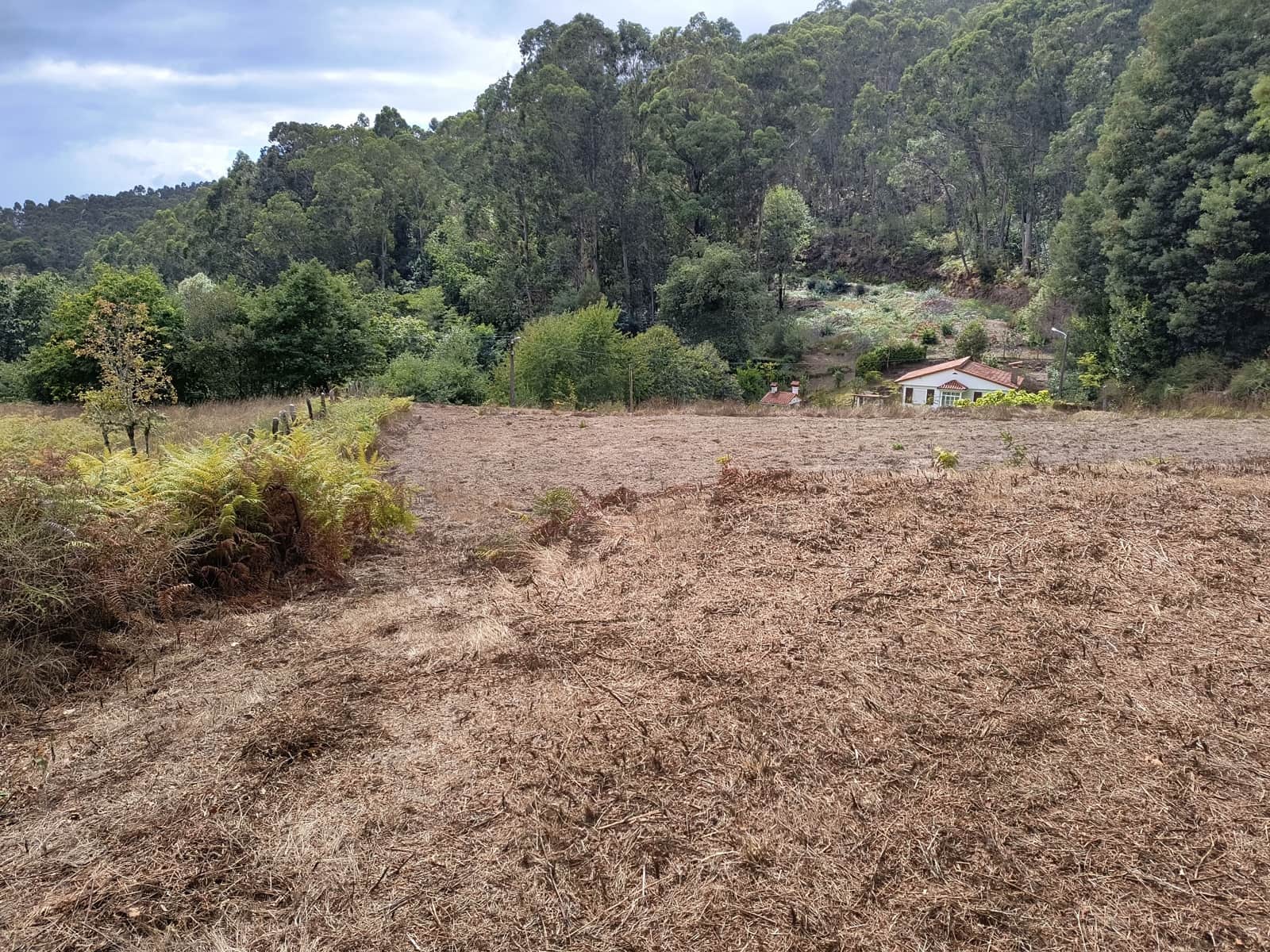 Grunde uden byggetilladelser til salg i Mondariz - € 30.000 (Ref: 10037796)