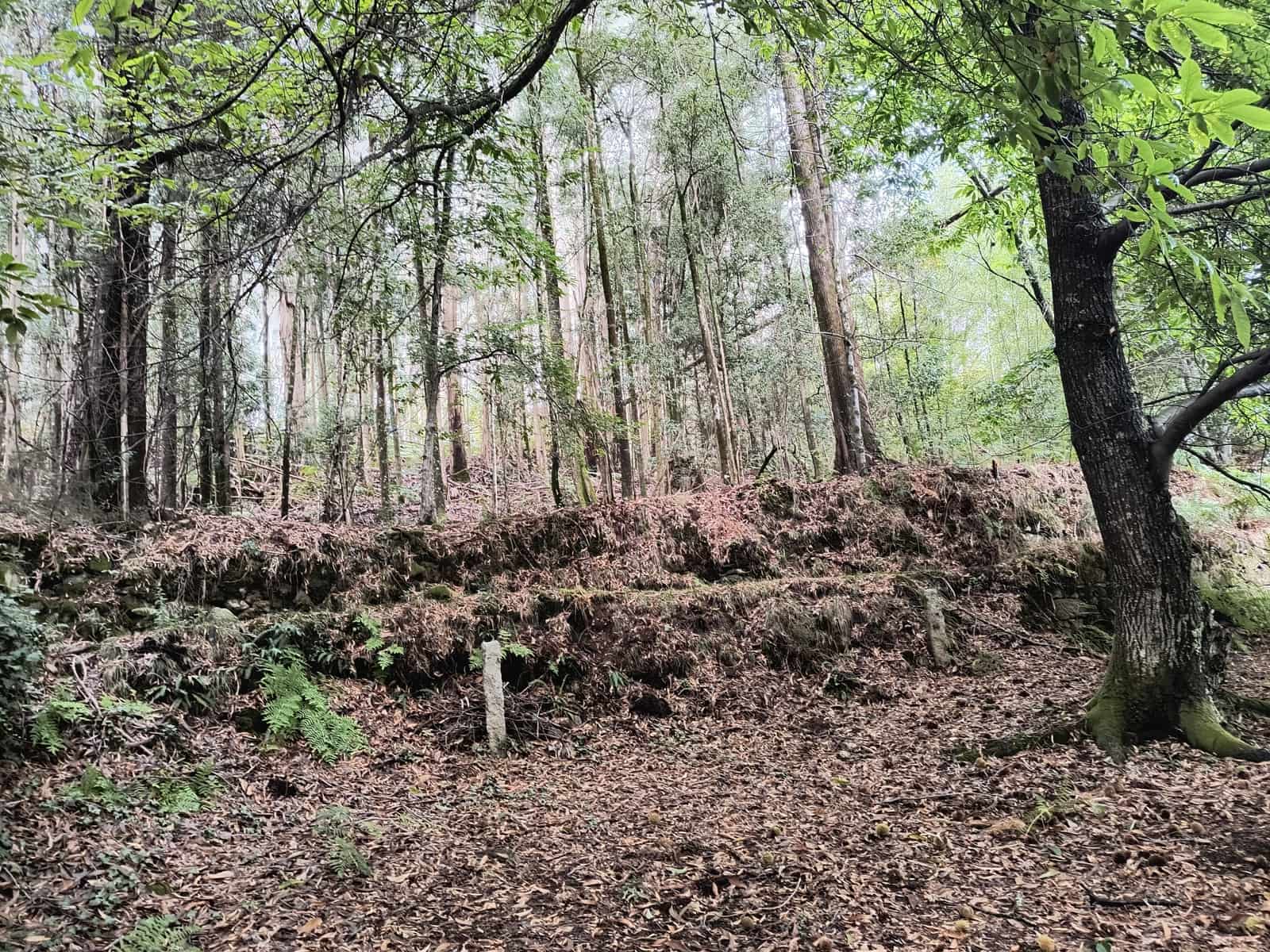 Grunde uden byggetilladelser til salg i Mondariz - € 30.000 (Ref: 10037796)