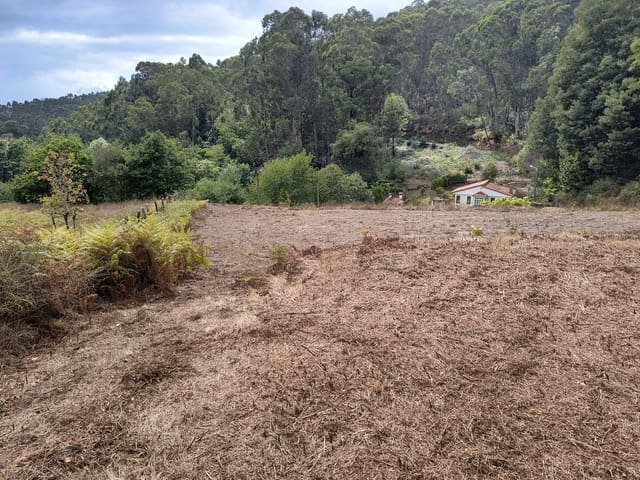 Terre non Aménagée à vendre à Mondariz - 30 000 € (Ref: 10037796)