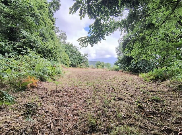 Terre non Aménagée à vendre à Mondariz - 30 000 € (Ref: 10037796)