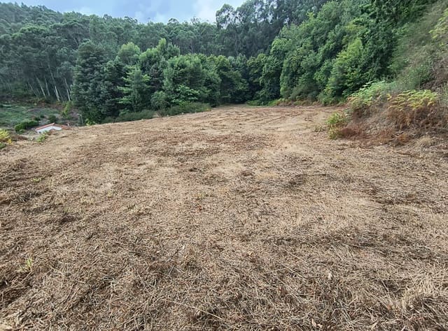 Terre non Aménagée à vendre à Mondariz - 30 000 € (Ref: 10037796)