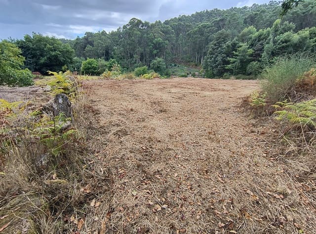 Terre non Aménagée à vendre à Mondariz - 30 000 € (Ref: 10037796)