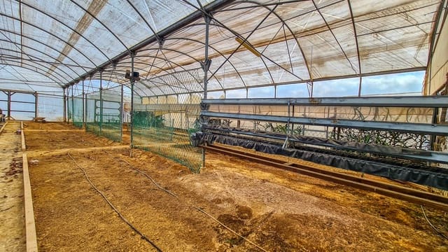 2 Zimmer Finca/Landgut zu verkaufen in Torrent mit Pool - 349.000 € (Ref: 10038566)