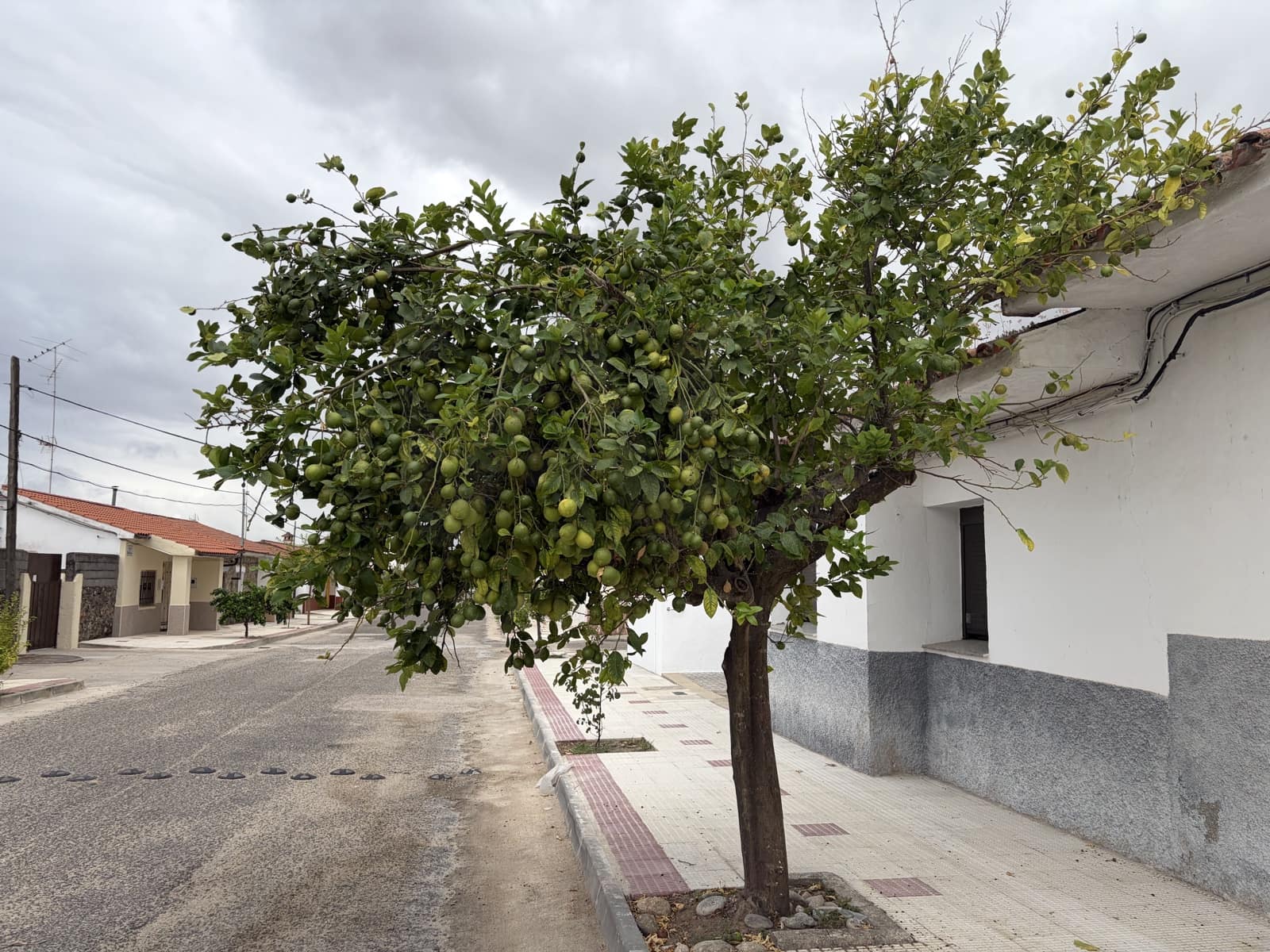 Undeveloped Land for sale in Tietar - € 143,120 (Ref: 10039336)