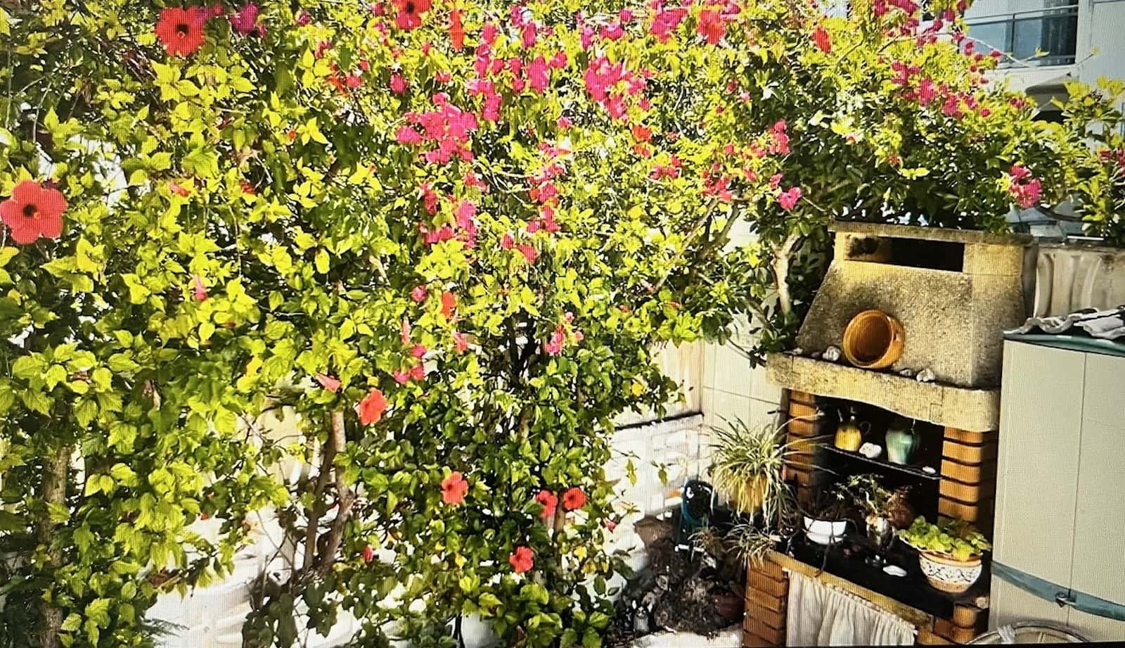 4 camera da letto Casa in vendita in Oropesa  - 260.000 € (Rif: 10041186)