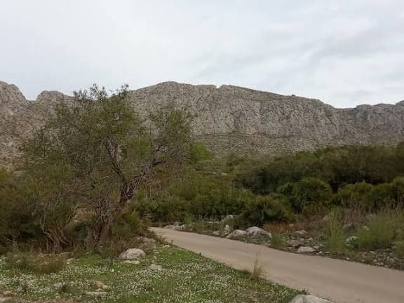Building Plot for sale in Beniarbeig - € 106,000 (Ref: 10042051)