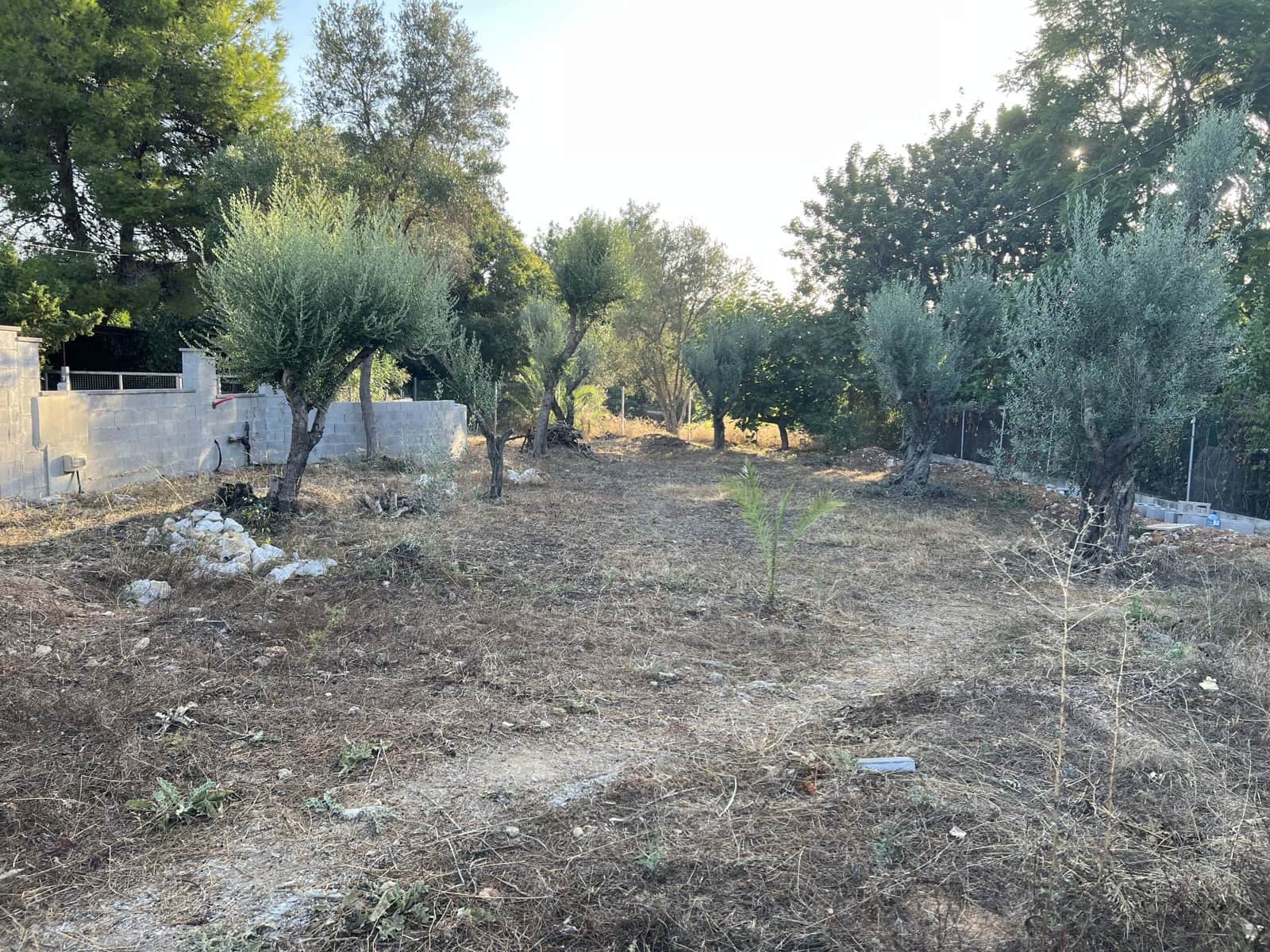 Building Plot for sale in Beniarbeig - € 106,000 (Ref: 10042051)