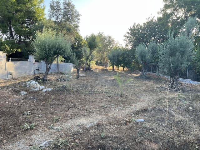 Building Plot for sale in Beniarbeig - € 106,000 (Ref: 10042051)