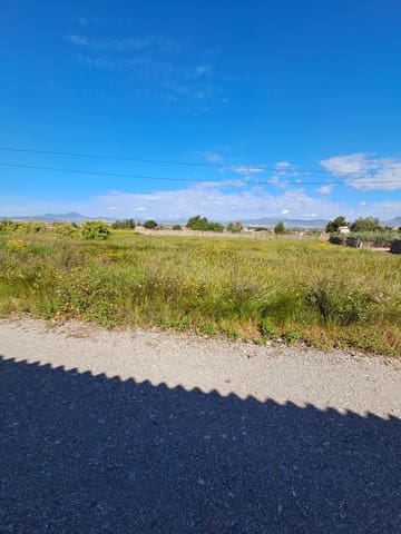 Teren niezagospodarowany na sprzedaż w Lorca - 34 500 € (Ref: 10042397)