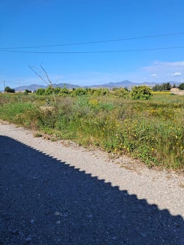 Teren niezagospodarowany na sprzedaż w Lorca - 34 500 € (Ref: 10042397)