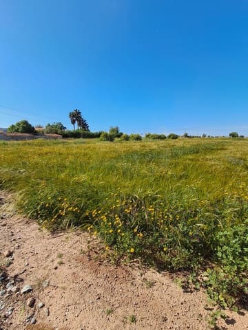 Teren niezagospodarowany na sprzedaż w Lorca - 34 500 € (Ref: 10042397)