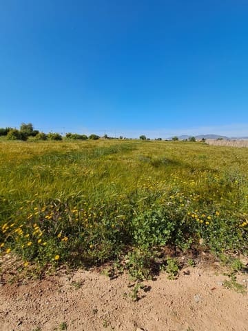 Teren niezagospodarowany na sprzedaż w Lorca - 34 500 € (Ref: 10042397)