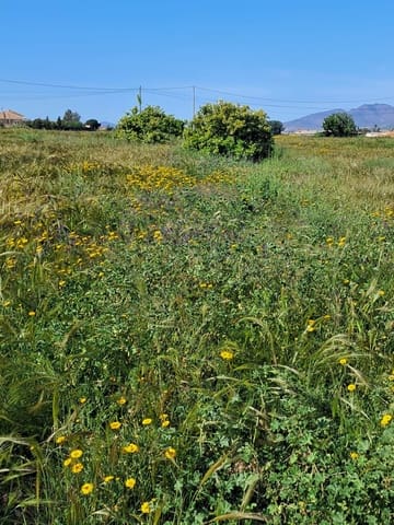 Landgrundstück zu verkaufen in Lorca - 34.500 € (Ref: 10042397)