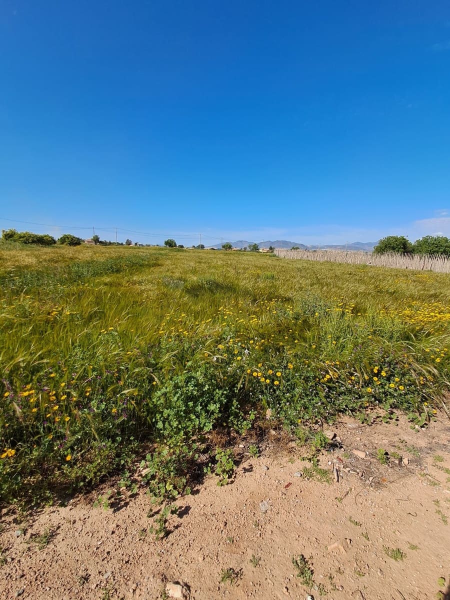 Terreno/Finca Rústica en Lorca en venta - 34.500 € (Ref: 10042397)