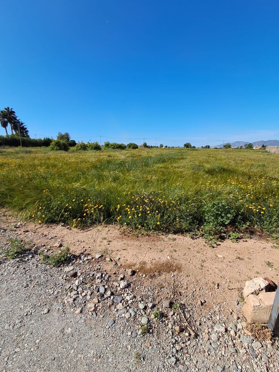 Terreno/Finca Rústica en Lorca en venta - 34.500 € (Ref: 10042397)