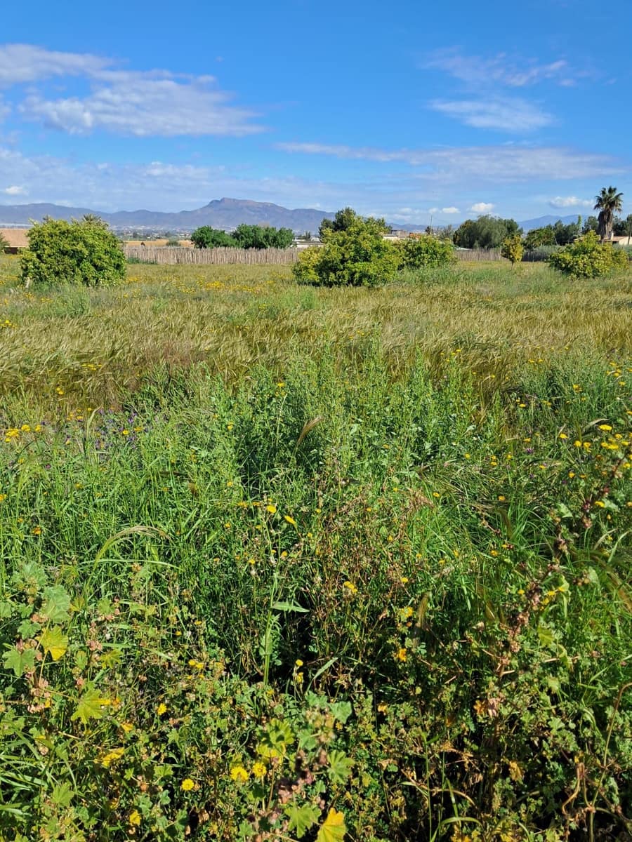 Terreno/Finca Rústica en Lorca en venta - 34.500 € (Ref: 10042397)