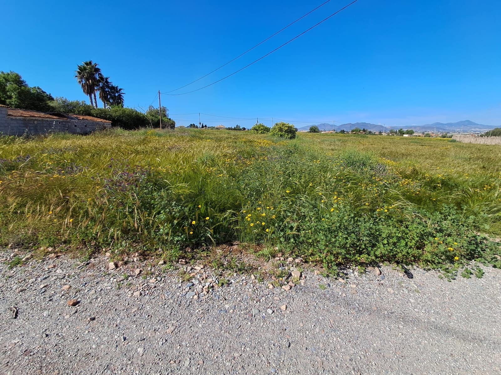 Terreno/Finca Rústica en Lorca en venta - 34.500 € (Ref: 10042397)