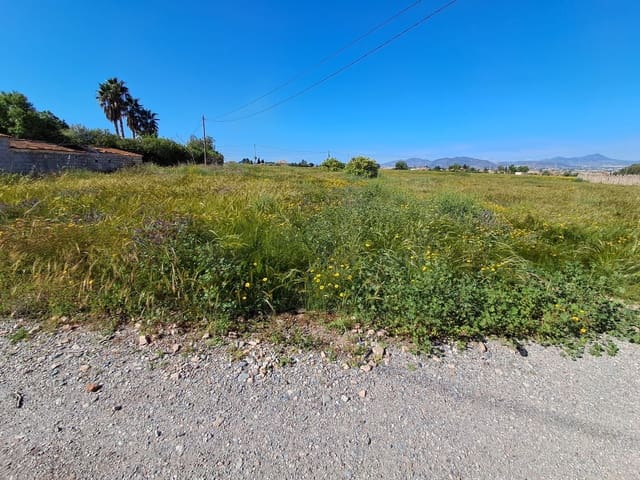 Landgrundstück zu verkaufen in Lorca - 34.500 € (Ref: 10042397)