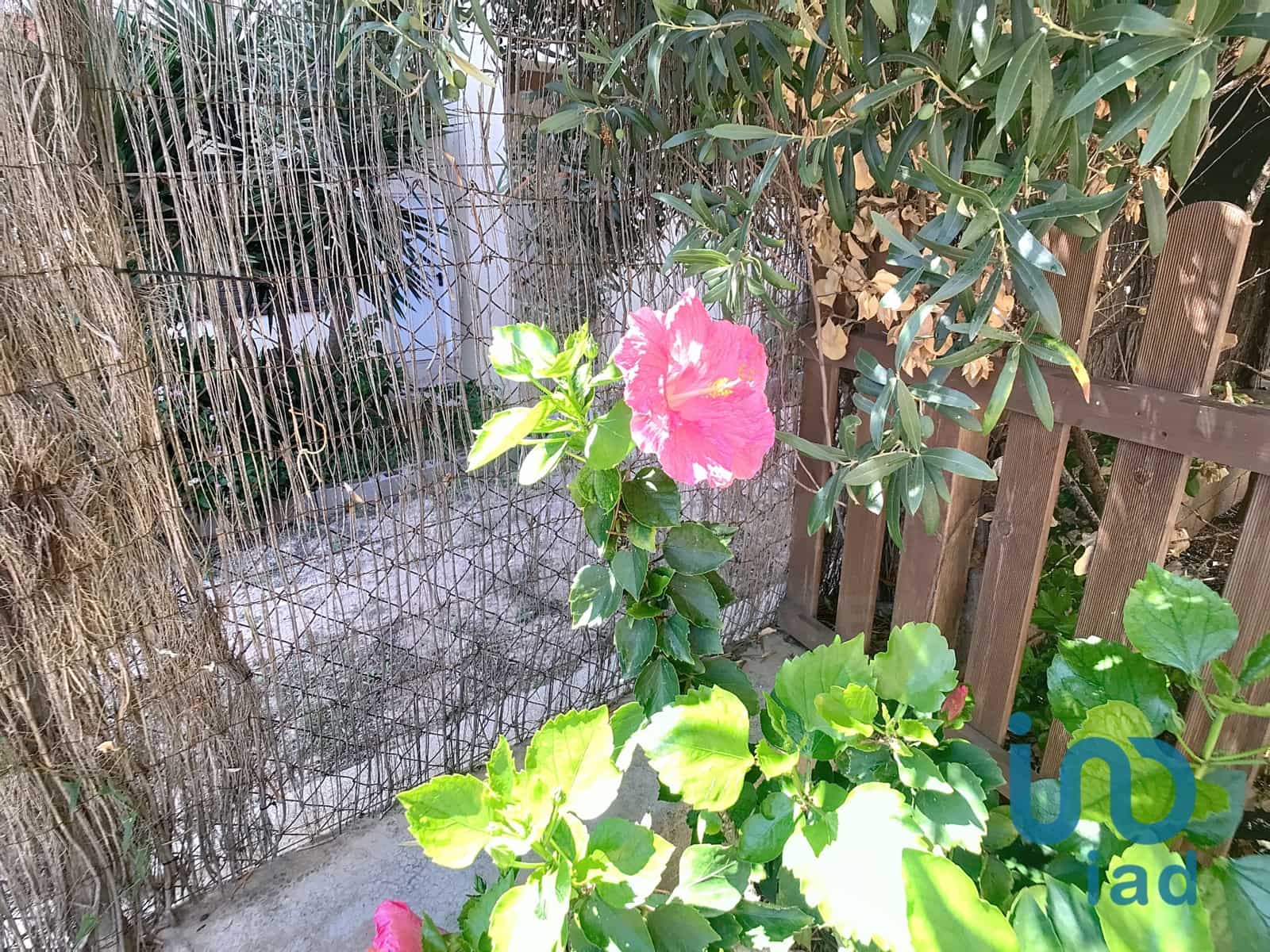 4 chambre Villa/Maison Mitoyenne à vendre à Roda de Bara - 309 500 € (Ref: 10045973)