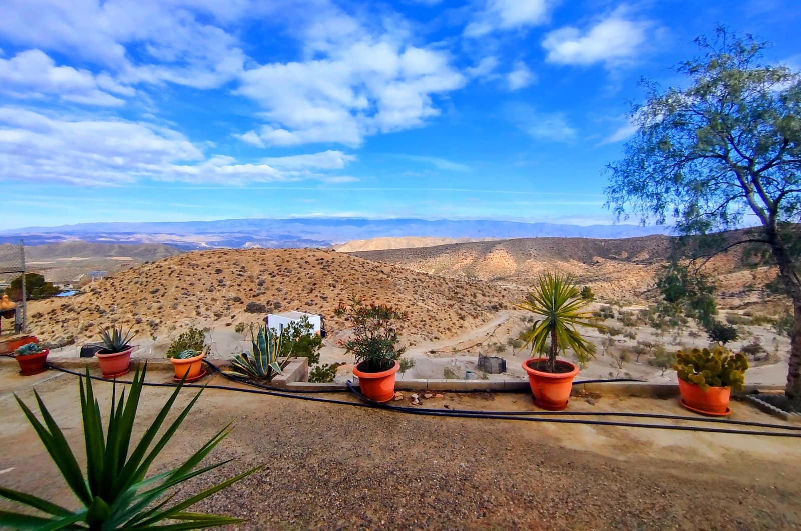 4 camera da letto Finca/Casa di Campagna in vendita in Tabernas con piscina - 200.000 € (Rif: 10046669)
