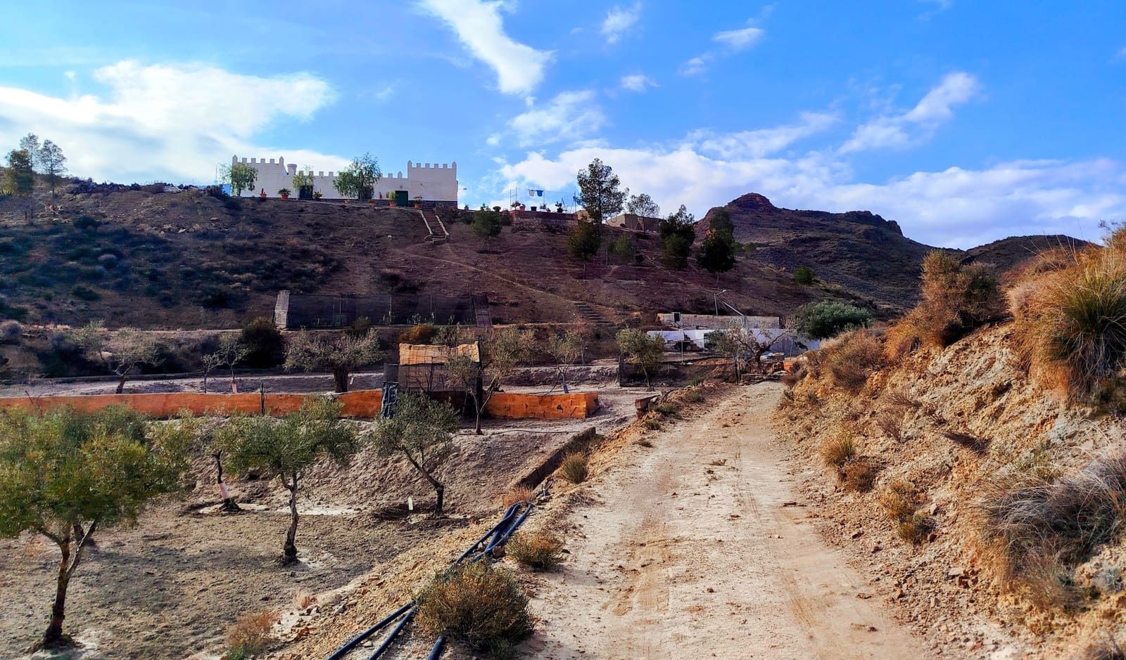 4 camera da letto Finca/Casa di Campagna in vendita in Tabernas con piscina - 200.000 € (Rif: 10046669)