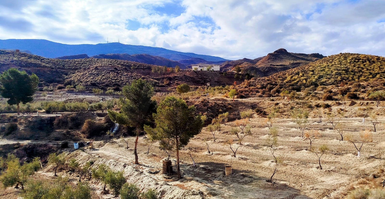 4 camera da letto Finca/Casa di Campagna in vendita in Tabernas con piscina - 200.000 € (Rif: 10046669)