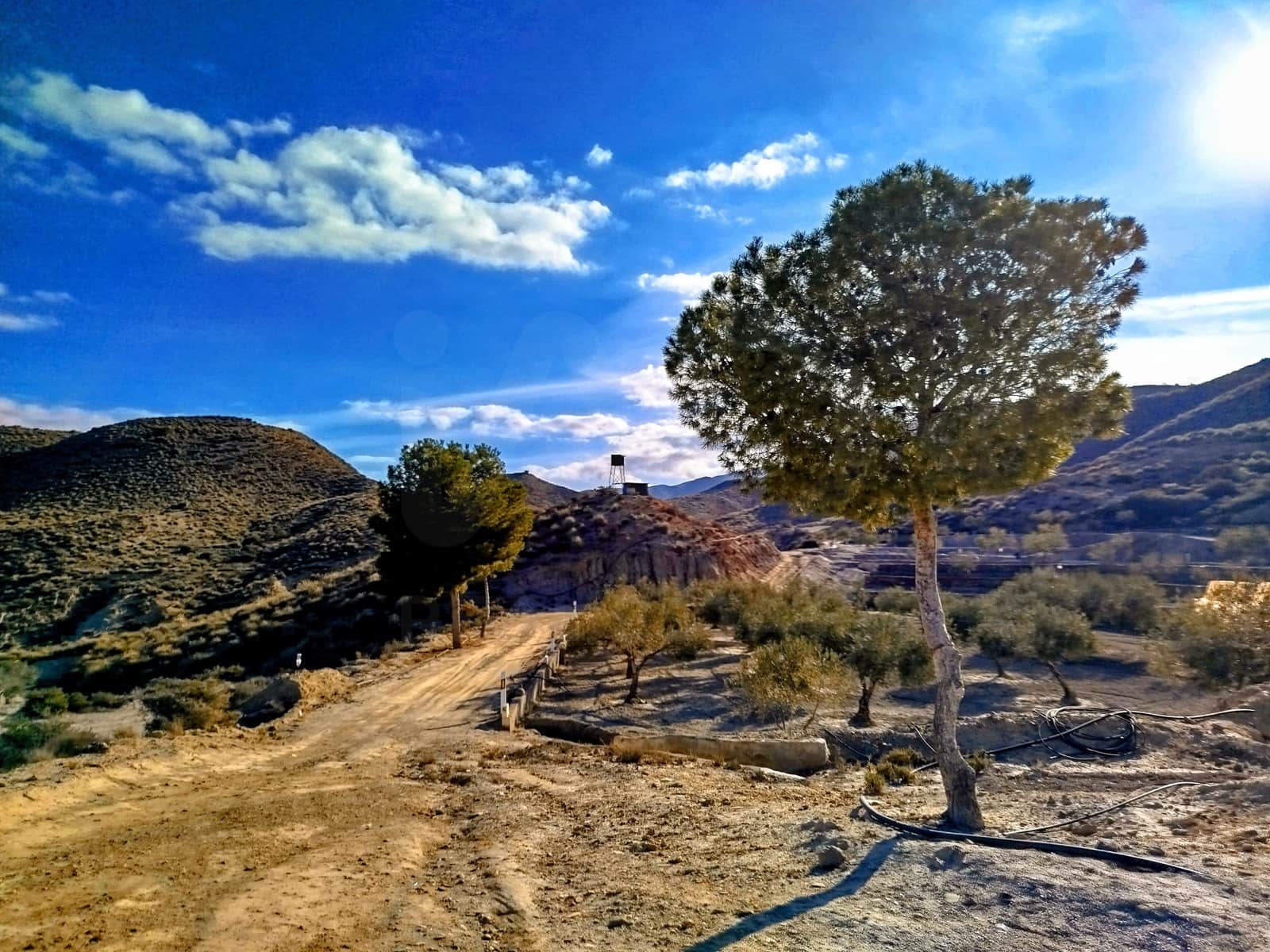 4 camera da letto Finca/Casa di Campagna in vendita in Tabernas con piscina - 200.000 € (Rif: 10046669)