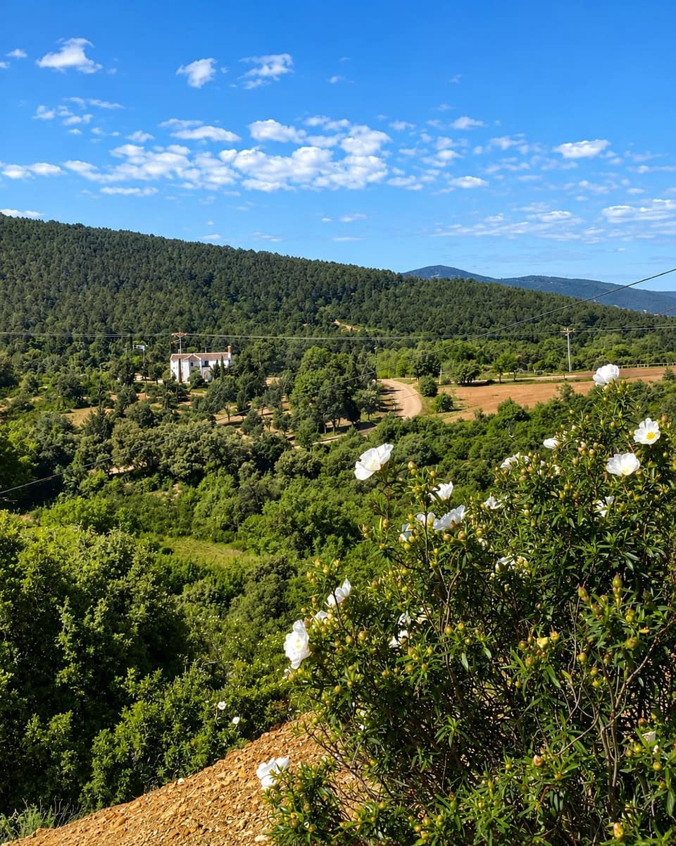 Terre non Aménagée à vendre à Navahermosa - 80 000 € (Ref: 10046671)