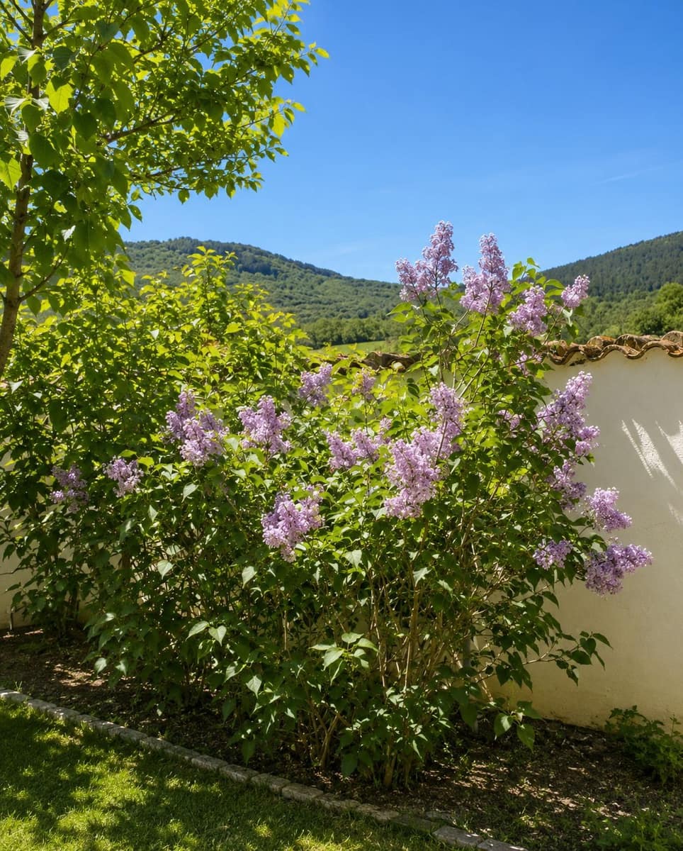 Terre non Aménagée à vendre à Navahermosa - 80 000 € (Ref: 10046671)