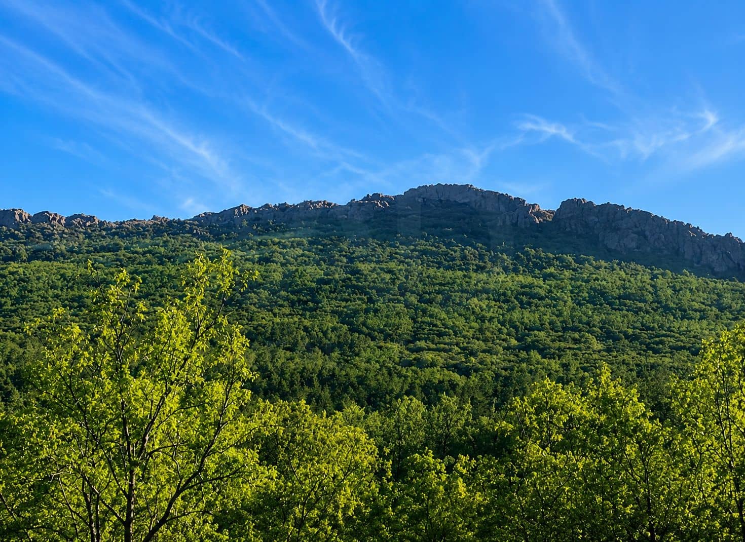 Terre non Aménagée à vendre à Navahermosa - 80 000 € (Ref: 10046671)