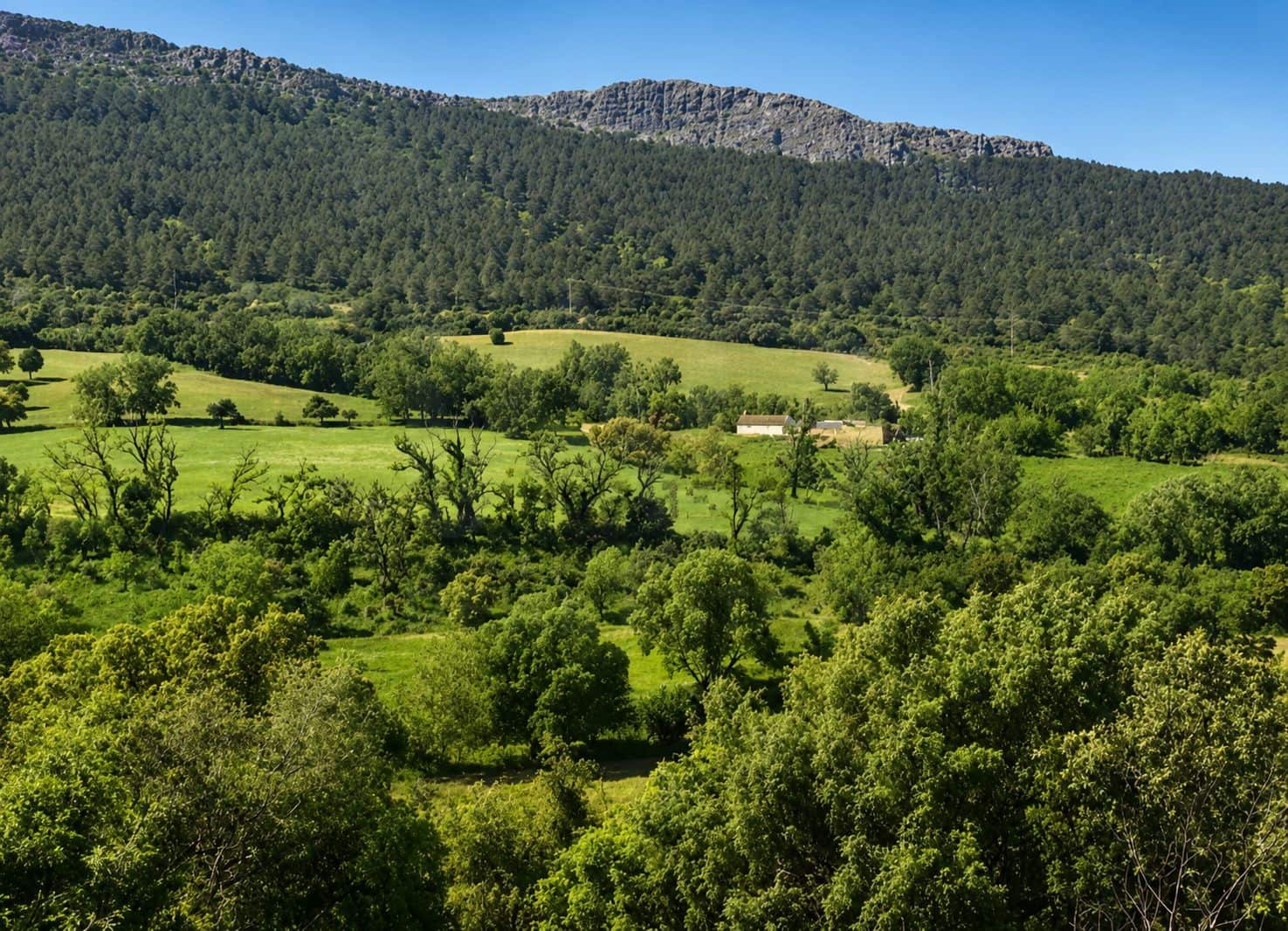 Terre non Aménagée à vendre à Navahermosa - 80 000 € (Ref: 10046671)