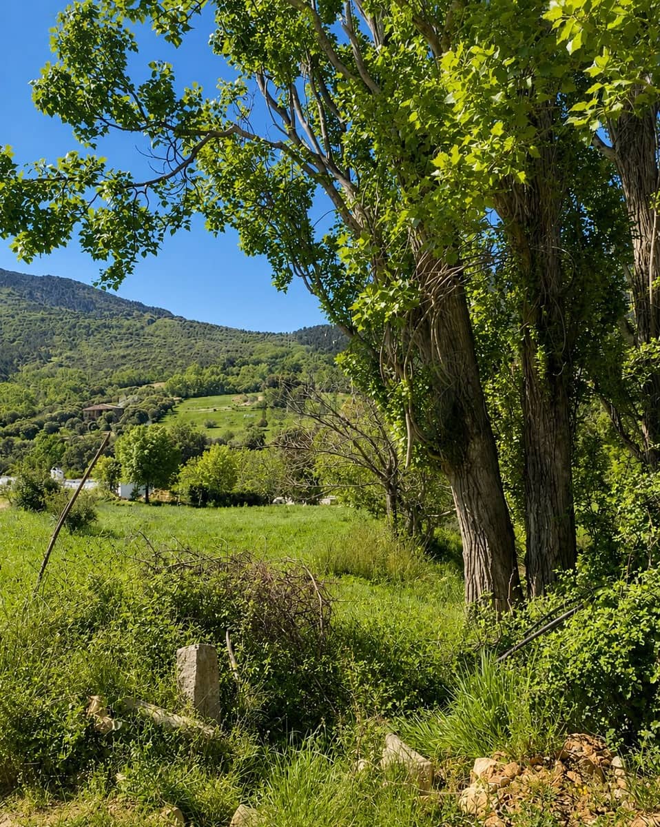 Terre non Aménagée à vendre à Navahermosa - 80 000 € (Ref: 10046671)