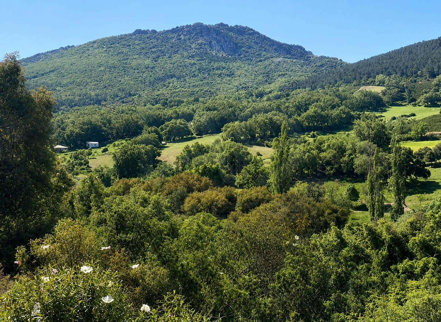 Terre non Aménagée à vendre à Navahermosa - 80 000 € (Ref: 10046671)