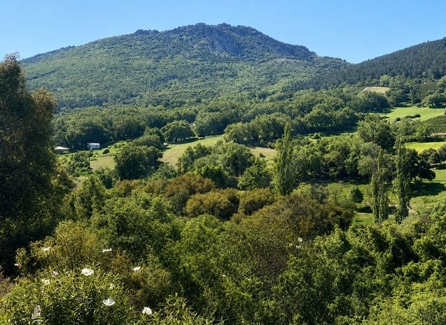 Landgrundstück zu verkaufen in Navahermosa - 80.000 € (Ref: 10046671)