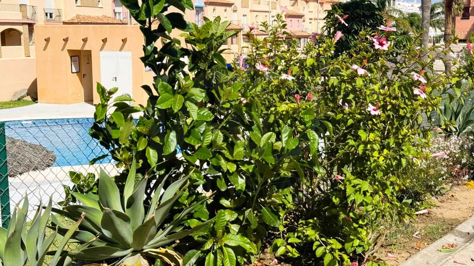 1 bedroom Apartment for sale in Tarifa with pool garage - € 380,000 (Ref: 10047380)