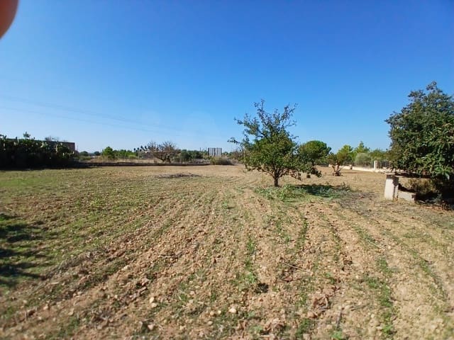 3 quarto Quinta/Casa Rural para venda em Inca - 379 500 € (Ref: 10049831)