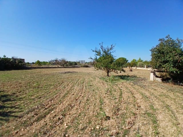 3 quarto Quinta/Casa Rural para venda em Inca - 379 500 € (Ref: 10049831)